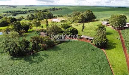 Chácara à venda Zona Rural, Vera Cruz do Oeste - PR