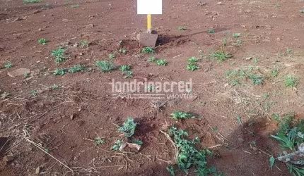 Terreno à venda 252M², Jardim Paraná, Cambé - PR
