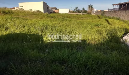 Terreno à venda 36000M², Centro, Jacarezinho - PR