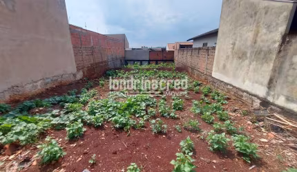 Terreno à venda 250M², Jardim Montecatini, Londrina - PR