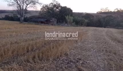 Terreno à venda, Rural, Ibiporã, PR
