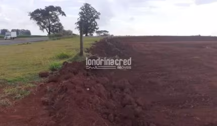 Terreno à venda, Centro, Arapongas, PR