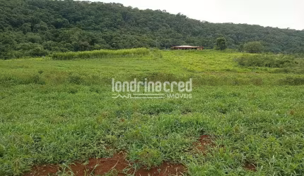 Chácara à venda 4 Quartos, 133100M², Zona Rural, Tamarana - PR