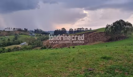 Chácara à venda 744000M², Zona Rural, Castro - PR