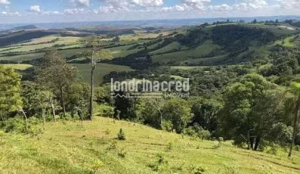 Chácara à venda 314600M², Zona Rural, Rio Branco do Ivaí - PR