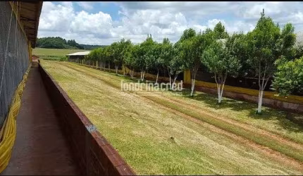 Chácara à venda 242000M², Zona Rural, Ouro Verde do Oeste - PR