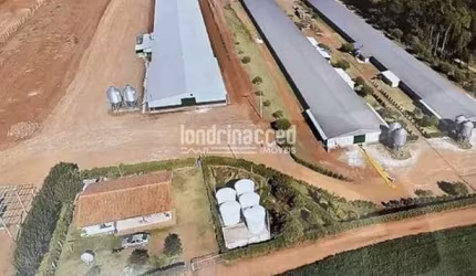 Sítio à venda, RURAL, Roncador, PR