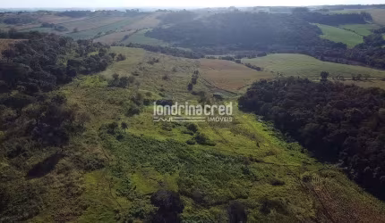 Sítio à venda, RURAL, Assaí, PR