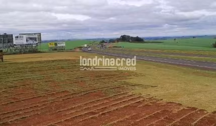 Excelente terreno 92mil metros quadrados, entre a Cidade de Rolândia e Arapongas próximo a  grandes