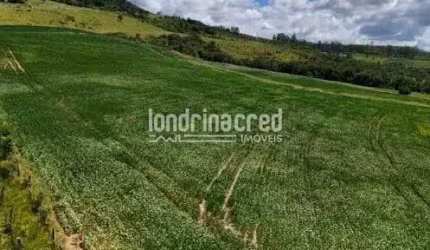 Excelente Sítio em Arapoti-PR: 169.400m² de Área Total para Lazer, Investimento ou Agricultura