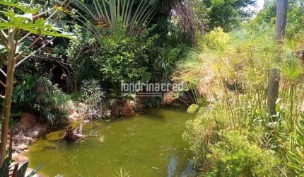 Chácara para Venda 6000M², Conjunto Vivi Xavier, Londrina - PR