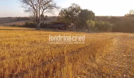 Vendo Terreno de 40.000m² Próximo a Ibiporã – Ótimo para Investimento, Loteamento, Agricultura ou C