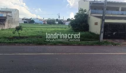 Terreno Comercial de 250 m² em Avenida Estratégica – Conecta Jd. Tropical, Moema e Farid Libos – Ac