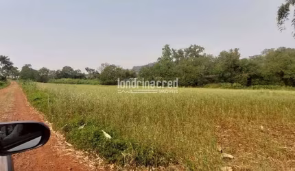 Investimento Imbatível! Lote 72.600m² em Ibiporã. Pronto para Loteamento ou Indústria. IPTU 2025 Pa