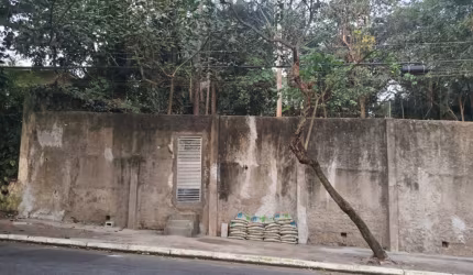 OPORTUNIDADE