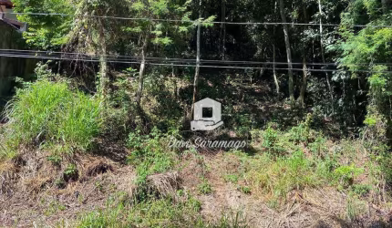 Terreno Vila Progresso