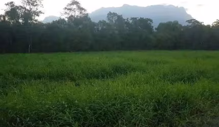 Terreno à venda, 3027.00 m2 por R$120000.00  - Zona Rural - Morretes/PR