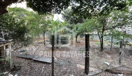 Lote para Venda em Belo Horizonte / MG no bairro Araguaia
