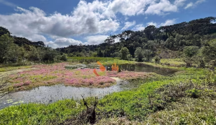 Chácara 3 dormitórios à venda, 121000 m² em Campina Grande do Sul/PR