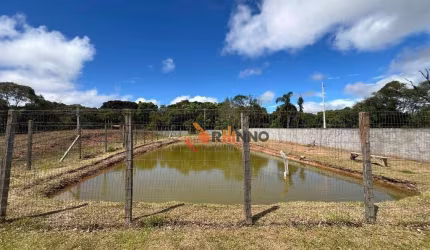 Chácara com 4 dormitórios à venda, 23600 m² por R$ 1.800.000,00 - Timbú Velho - Campina Grande do Sul/PR