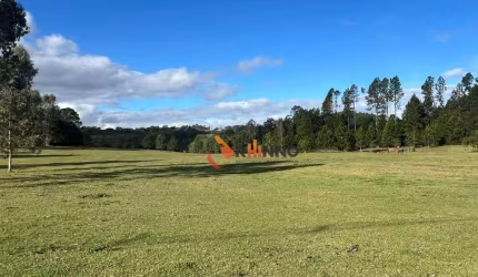 Terreno à venda no Centro - Campina Grande do Sul/PR