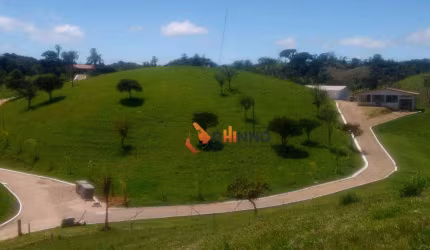 FAZENDA PARA PECUÁRIA  C/ 95 alqueires em São José dos Pinhais