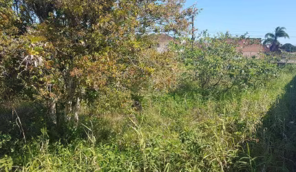 Terreno à venda, 398 m² por R$ 180.000,00 - Bal Raul Cury - Itanhaém/SP