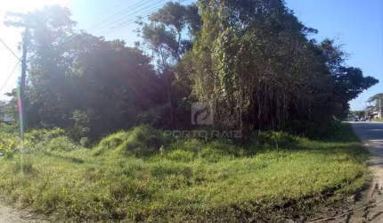 Terreno à venda, 995 m² por R$ 120.000,00 - Jardim Coronel - Itanhaém/SP