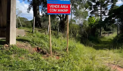 VENDE ÁREA COLÔNIA MURICY