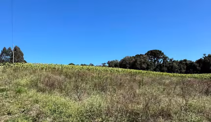 EXCELENTE CHACARÁ NO CAMINHO DO VINHO