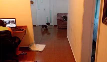 Apartamento com 2 dormitórios à venda, 65 m² - Morro de Nova Cintra - Santos/SP