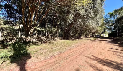 VIVER EM HARMONIA COM A NATUREZA