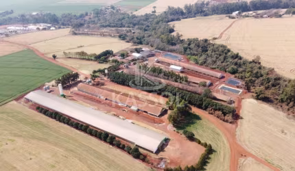 ÁREA RURAL A VENDA EM TOLEDO, DISTRITO DE NOVO SOBRADINHO, TOLEDO - PR