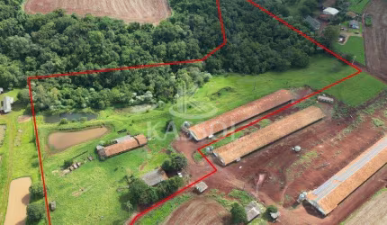 ÁREA RURAL COM ACESSO PELA BR 467 SENTIDO CASCAVEL X TOLEDO COM 4.2008HA