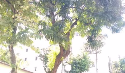 Apartamento para Venda em Mogi das Cruzes, Jardim Marica, 2 dormitórios, 1 banheiro, 1 vaga