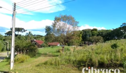 Terreno em Campo Largo de 4.493,00m² - Residencial Arvoredos de Santana