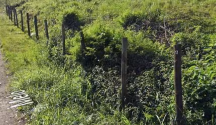 Terreno a venda no bairro Areais em São José / SC