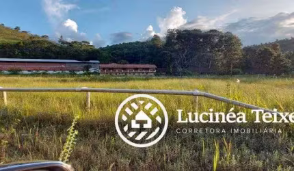 FAZENDA TERESÓPOLIS  PONTE NOVA