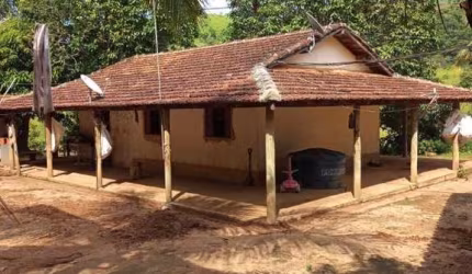FAZENDA SAPUCAIA CENTRO