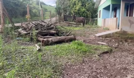 124848 CHACARA EM SANTO ANTÔNIO DA PATRULHA RS COM 2 CASAS , ÁGUA ENCANADA, LUZ E FIBRA ÓTICA