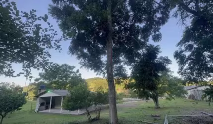 124729 CHÁCARA EM SANTO ANTÔNIO DA PATRULHA RS 1,13HA  CASA  POMAR AÇUDE COM PEIXES FIBRA ÓTICA E PAREDÃO P/ RAPEL