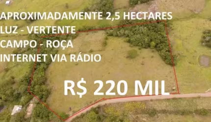 113920 - CHÁCARA 2,5 HECTARES COM LUZ, PASTO, ROÇA, LUZ, MATA, VERTENTE E CÓRREGO