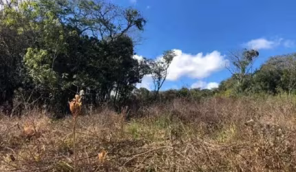 CHÁCARA COM AÇUDE EM SANTO ANTÔNIO DA PATRULHA COM 3,8 HECTARES