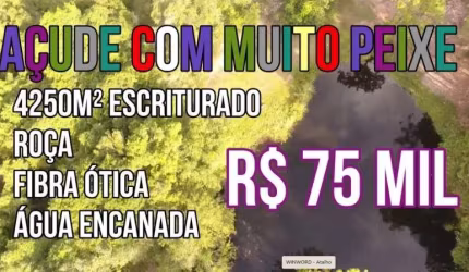 115119 CHACRINHA ESCRITURADA FIBRA ÓTICA ÁGUA ENCANADA AÇUDE COM MUITO PEIXE