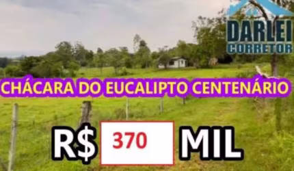 [87994 ] CHÁCARA DO EUCALIPTO CENTENÁRIO COM CASA, AÇUDE E POMAR EM GLORINHA
