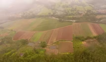 [114898] FAZENDA EM MAQUINÉ COM 81 HECTARES, CASARÃO, RIO, ESCRITURADA, TERRAS FÉRTEIS