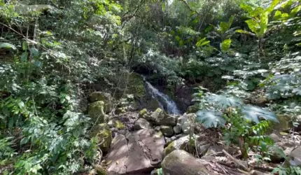 [108249] CHÁCARA COM RIACHO, DUAS CACHOEIRAS, FIBRA ÓTICA E ÁGUA ENCANADA NA ROD. BR-101 EM MAQUINÉ