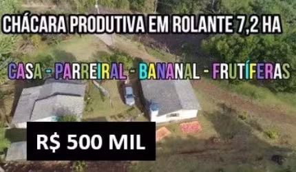 118687 CHÁCARA  EM ROLANTE 7,23 HA, CASA, PARREIRAL, BANANAL, FRUTÍFERAS E FIBRA ÓTICA
