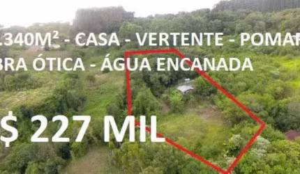 113845 - CHÁCARA COM MUITA FRUTA, RICA EM ÁGUA, FIBRA ÓTICA E CASA EM ROLANTE
