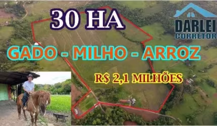 [85766] -FAZENDA PARA ARROZ, MILHO E GADO EM TAQUARA COM 30 HECTARES